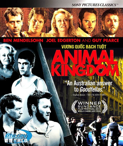B4171. Animal Kingdom - Vương Quốc Bạch Tuộc 2D25G (DTS-HD MA ) - Phim  Blu-ray - Hành động (Action) - Blu-ray Online